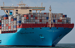 shipping-insurance-law